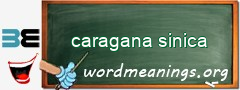 WordMeaning blackboard for caragana sinica